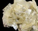 Yellow Barite Crystal Cluster - Peru #64138-1